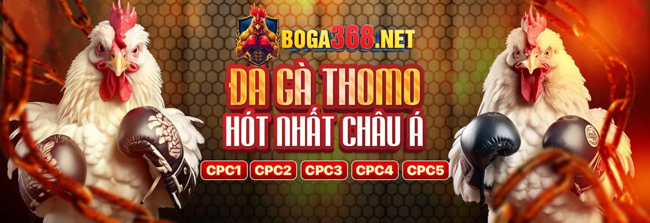 Sòng bạc trực tiếp với người chia bài chuyên nghiệp tại dabet cc